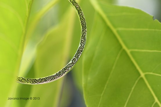 carved bangle